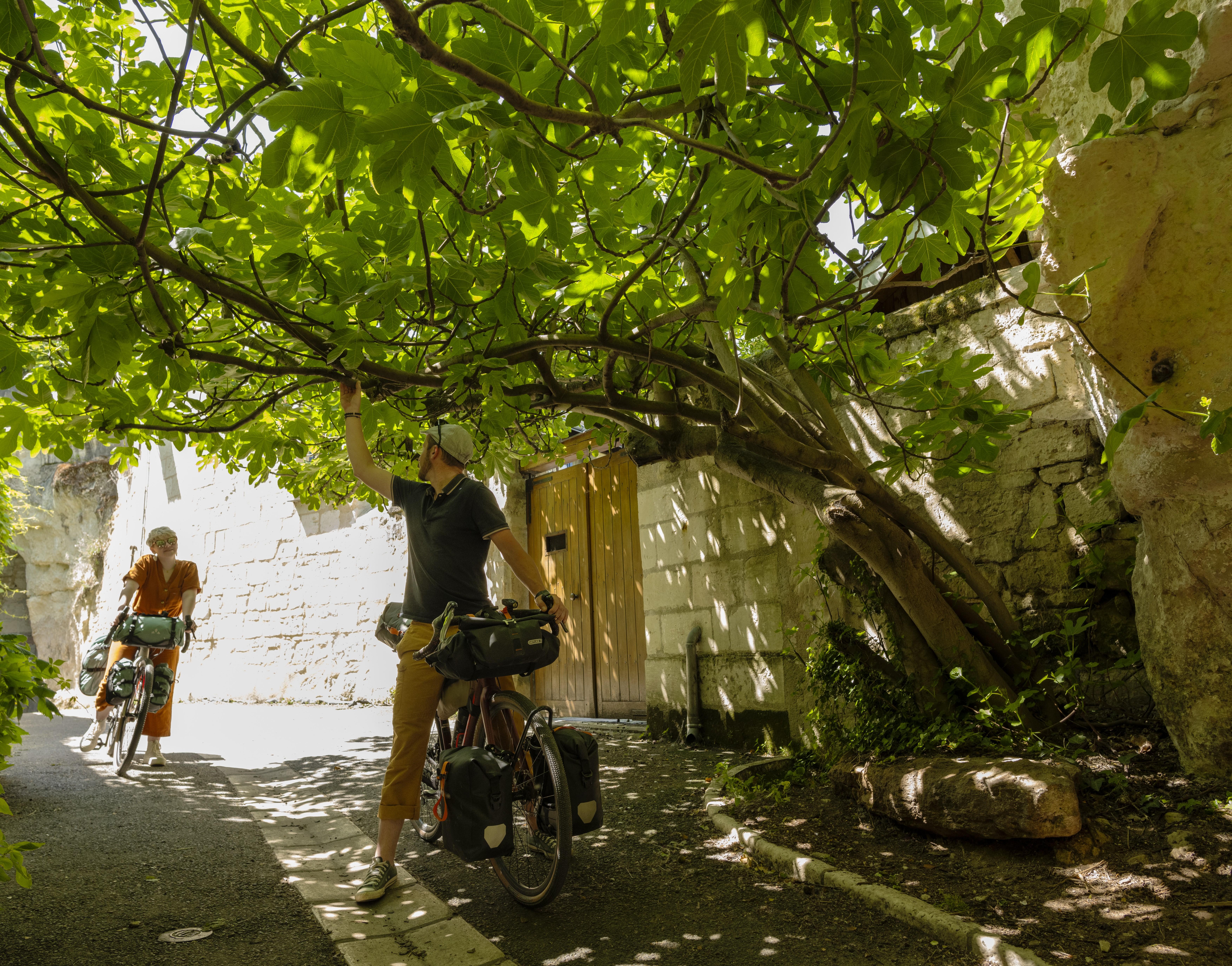 Vélo, Loire, et patrimoine : De Saumur à Angers